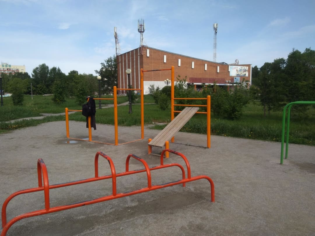 Barras de Mono en Outdoor Gym in Затулинский жилмассив, городской округ Новосибирск – foto 4 de 5