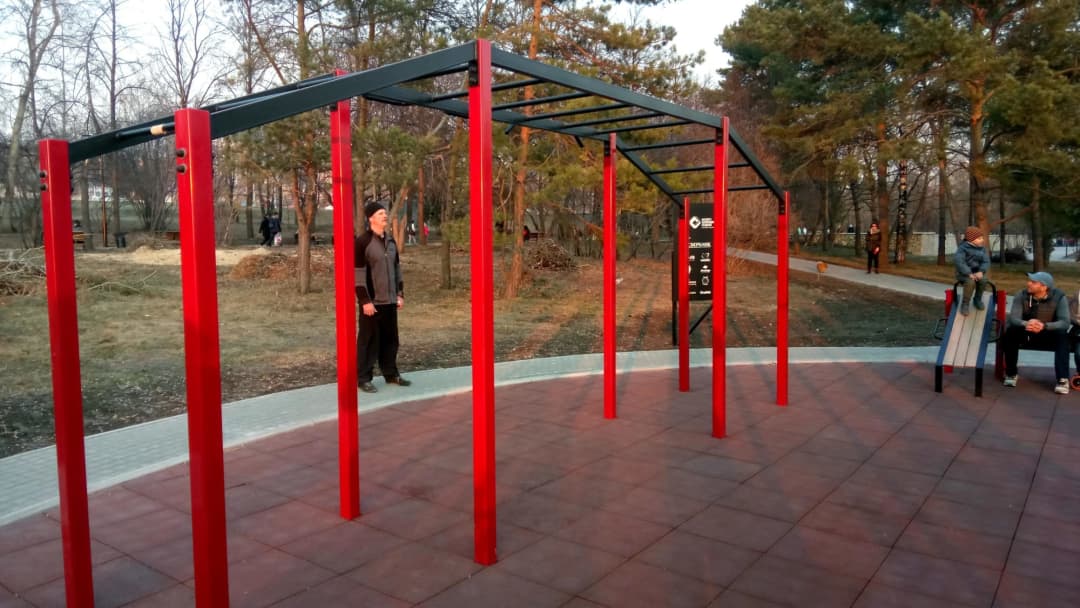 Monkey Bars at Calisthenics Park at Липовая аллея, городской округ Новосибирск – photo 3 of 8