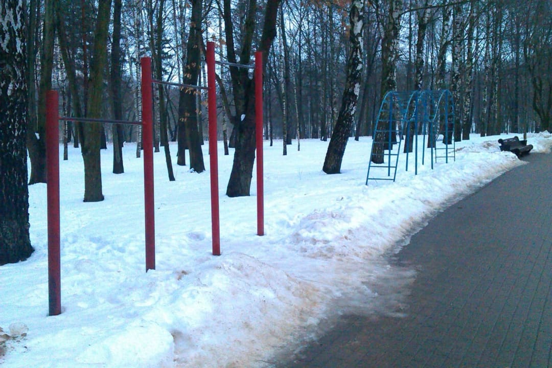 Wall Bars at Calisthenics Park at Спартыўная алея, Мінск – photo 3 of 3