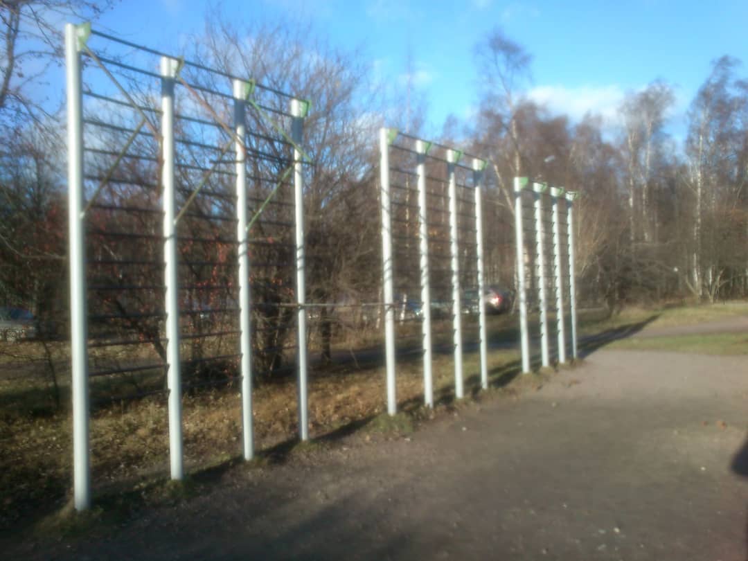Wall Bars at Calisthenics Park at улица Хлопина, Санкт-Петербург – photo 4 of 4