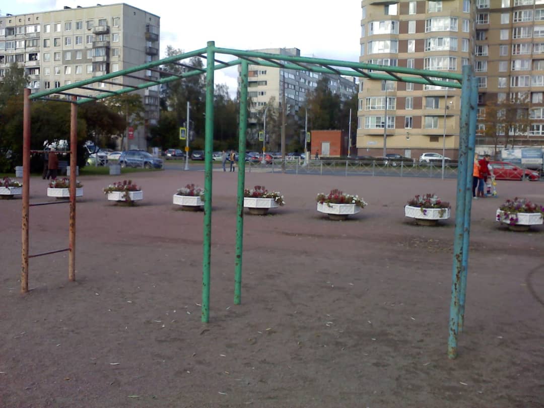 Wall Bars at Calisthenics Park at проспект Луначарского, Санкт-Петербург – photo 4 of 8