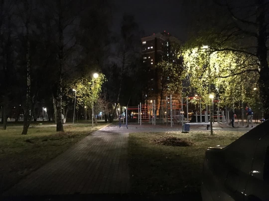 Push Up Bar at Calisthenics Park at Привольная улица, Москва – photo 1 of 1
