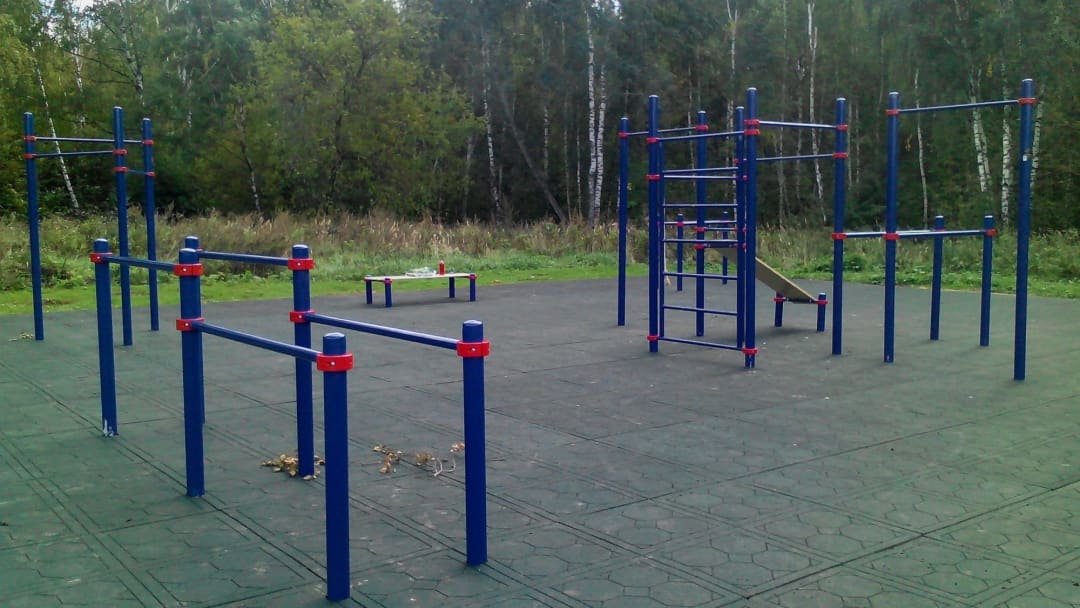 Parallel Gym Bars at Calisthenics Park at аллея Дорога Жизни, Москва #wp1897 – photo 2 of 9