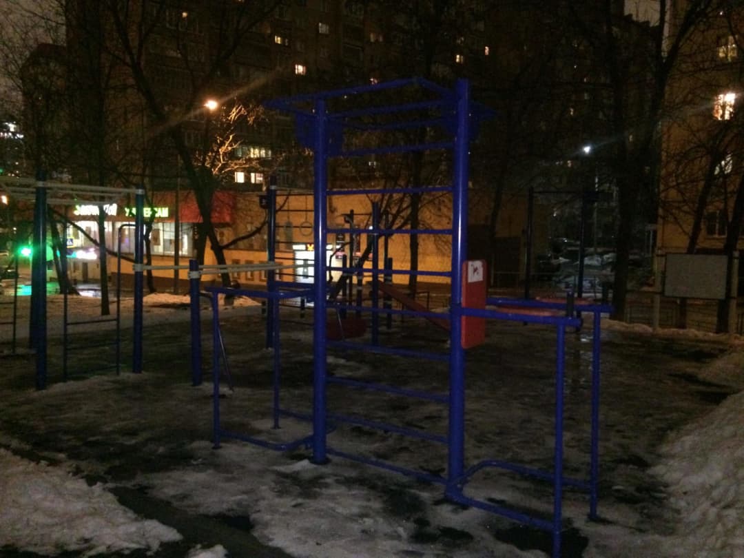 Monkey bar presso Calisthenics Park at улица Гвоздева, Москва – foto 3 di 4