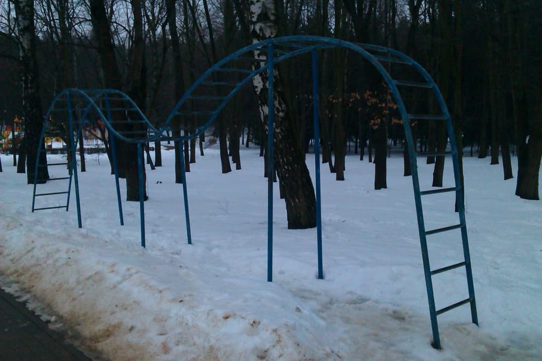 Monkey Bars at Calisthenics Park at Спартыўная алея, Мінск – photo 2 of 3