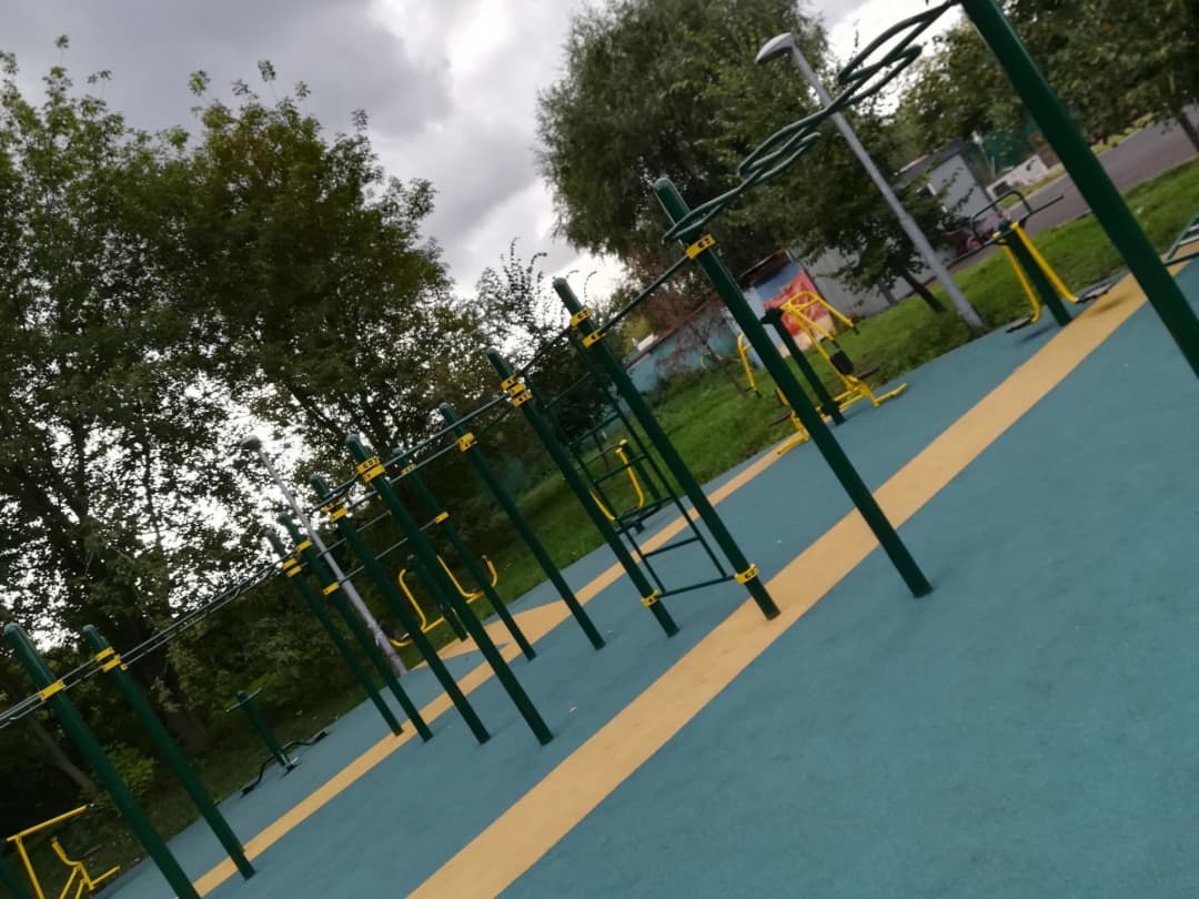Monkey Bars at Calisthenics Park at проектируемый проезд № 5016, Москва – photo 4 of 4