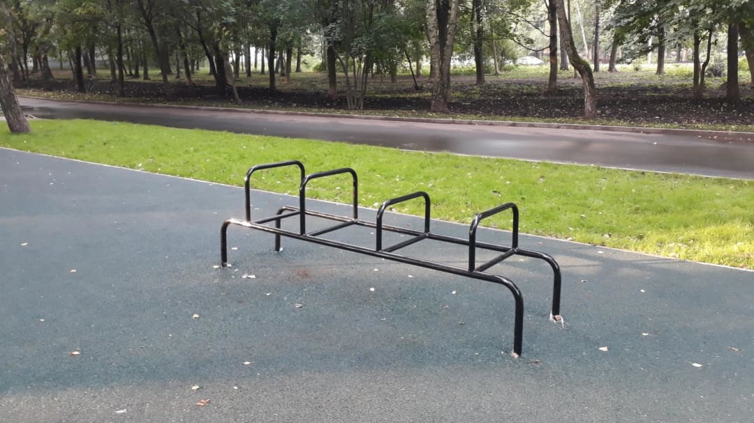 Monkey Bars at Calisthenics Park at Берёзовая аллея, Москва – photo 4 of 6