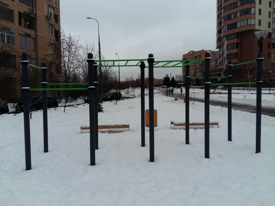 Parallel Gym Bars at Calisthenics Park at улица Удальцова, Москва #wp2020 – photo 2 of 7
