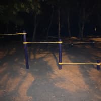 Calisthenics Park at Траса здоров’я, Одеса - thumbnail 3