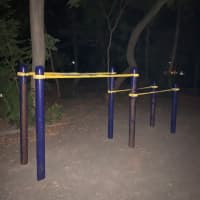 Calisthenics Park at Траса здоров’я, Одеса - thumbnail 5