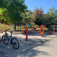 Calisthenics Park at вулиця Новоберегова, Одеса - thumbnail 7