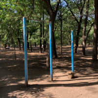Calisthenics Park at Спортивна площадка з турниками, Одеса - thumbnail 2