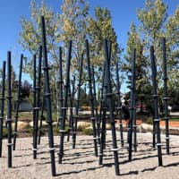 Harvest Hills
Obstacle challenge