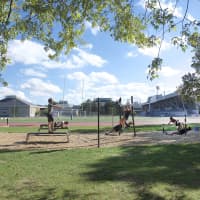 McMaster University Campus
Parks with Calisthenic