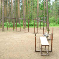 Calisthenics Park at проспект Тореза, Санкт-Петербург - thumbnail 3