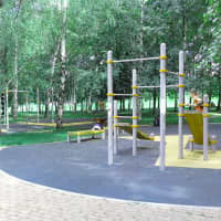 Calisthenics Park at проезд Шокальского, Москва - thumbnail 3