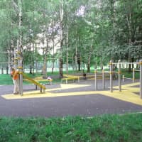 Calisthenics Park at проезд Шокальского, Москва - thumbnail 4