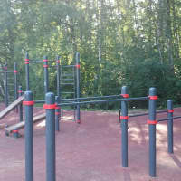 Calisthenics Park at улица Академика Виноградова, Москва - thumbnail 2