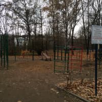 Calisthenics Park at улица Дубки, Москва - thumbnail 2