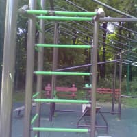 Calisthenics Park at улица Юности, Москва #wp1497 - thumbnail 4