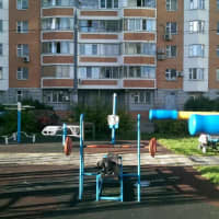 Calisthenics Park at проектируемый проезд № 6263, Москва - thumbnail 2