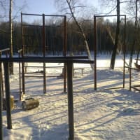Calisthenics Park at Главная аллея, Москва - thumbnail 2