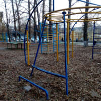 Calisthenics Park at улица Капустина, Ростов-на-Дону - thumbnail 2