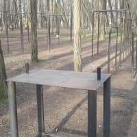 Calisthenics Park at Киргизская улица, Ростов-на-Дону - thumbnail 4