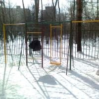 Calisthenics Park at Челюскинская улица, Москва - thumbnail 2