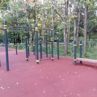 Calisthenics Park at аллея Славы, Москва - thumbnail 3