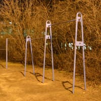 Calisthenics Park at улица Ломоносова, Жуковский - thumbnail 10