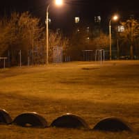 Calisthenics Park at улица Ломоносова, Жуковский - thumbnail 5