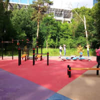Calisthenics Park at ВЭБ Арена, Москва - thumbnail 4