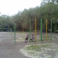 Calisthenics Park at Московское шоссе, Самара - thumbnail 2