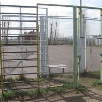 Calisthenics Park at Ледовый дворец, Омск - thumbnail 9