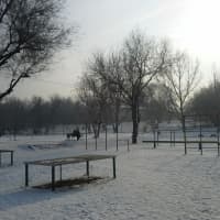 Calisthenics Park at Қуанышбаев көшесі, Алматы - thumbnail 4