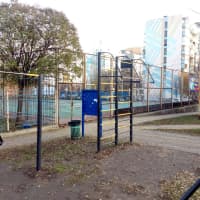 Calisthenics Park at 2-я Опрятная улица, Ростов-на-Дону - thumbnail 5