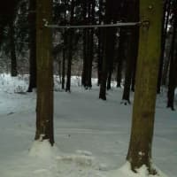 Calisthenics Park at Балаклавский проспект, Москва - thumbnail 3