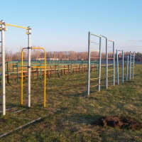 Calisthenics Park at улица Денисова, Старожилово - thumbnail 2