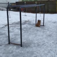 Calisthenics Park at аллея Мира, Челябинск #wp2564 - thumbnail 2