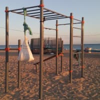 Calisthenics Park at Гвоздика, Благовещенская - thumbnail 2