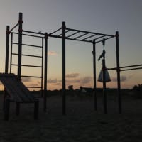 Calisthenics Park at Гвоздика, Благовещенская - thumbnail 7