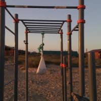 Calisthenics Park at Гвоздика, Благовещенская - thumbnail 5
