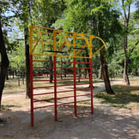 Calisthenics Park at вулиця Героїв Крут, Одеса - thumbnail 4