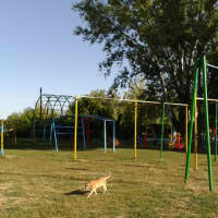 Calisthenics Park at Уланська площа, Чугуїв - thumbnail 4