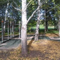 Calisthenics Park at проезд Шокальского, Москва #wp2755 - thumbnail 2