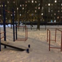 Calisthenics Park at улица Зои и Александра Космодемьянских, Москва - thumbnail 2