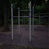Calisthenics Park at Главная аллея, Москва #wp2804 - thumbnail 3