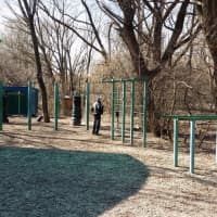 Calisthenics Park at улица Свободы, Москва #wp2817 - thumbnail 6
