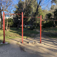Calisthenics Park at ulica maršala Tita, Bar - thumbnail 4